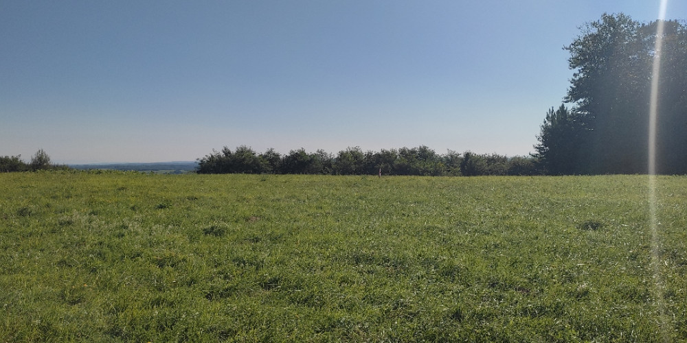 terrain à MARCILLAC ST QUENTIN (24200)