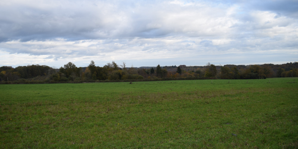 terrain à PERIGUEUX (24000)