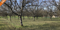 terrain à ST JULIEN DE LAMPON (24370)