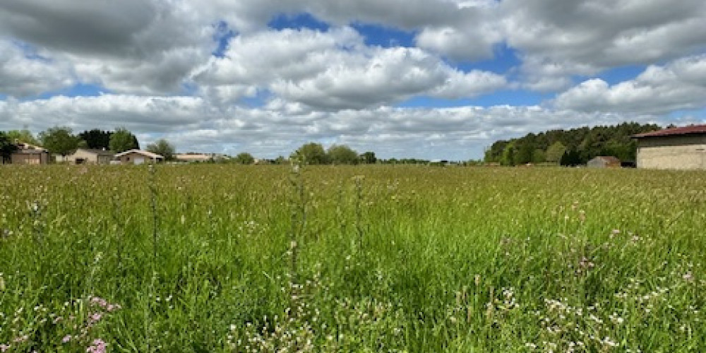 terrain à MONTPON MENESTEROL (24700)