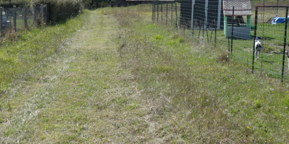 terrain à PAUSSAC ET ST VIVIEN (24310)