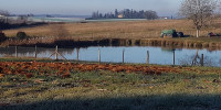 terrain à LANOUAILLE (24270)