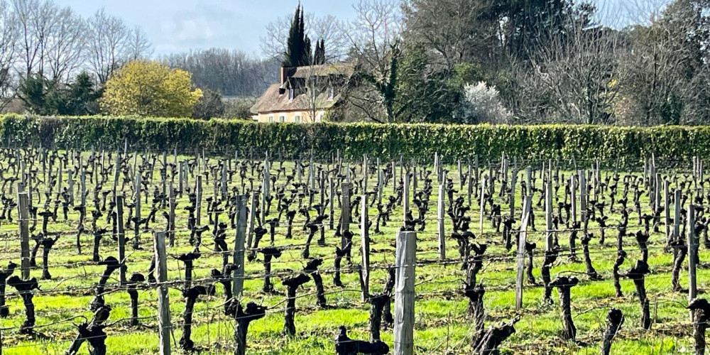 maison à BERGERAC (24100)