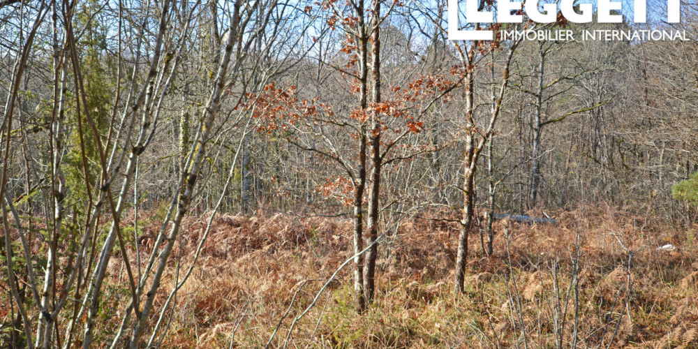 terrain à TOURTOIRAC (24390)