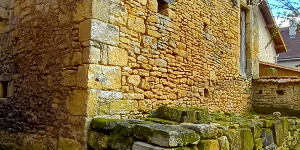 maison à ST LEON SUR VEZERE (24290)