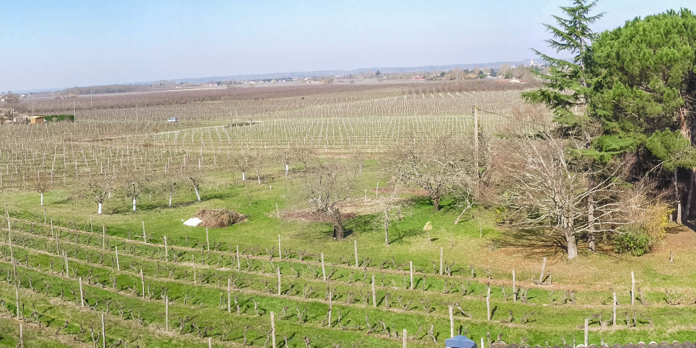 maison à MONBAZILLAC (24240)