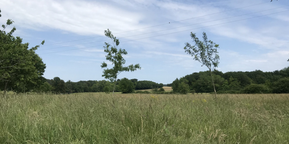 terrain à LA ROCHE CHALAIS (24490)