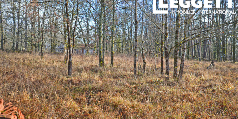 terrain à TOURTOIRAC (24390)